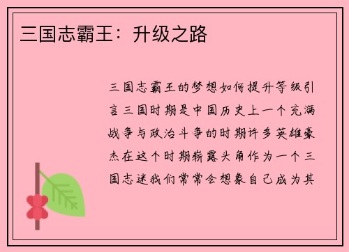 三国志霸王：升级之路